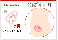 ヶ月 お腹 4 妊娠