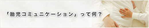 uَR~jP[VvĉH